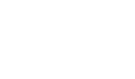 Platinum Touch